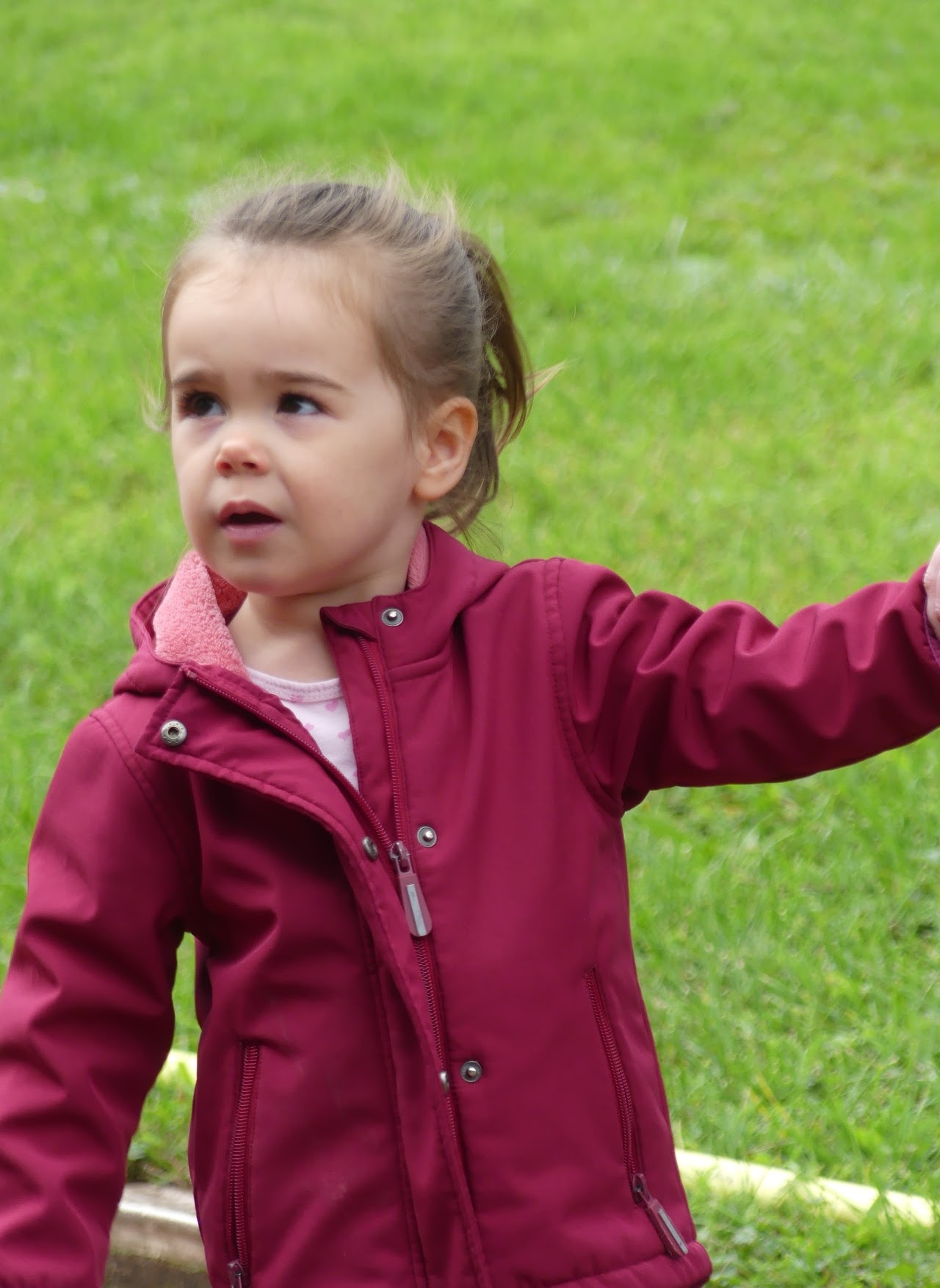 Bild vom 13. Benefizlauf im Jahr 2022. Dies ist das 484. Bild.